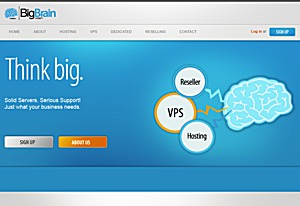 Big Brain Host – $5 512MB OpenVZ VPS in Ashburn Big Brain Host – $5 512MB OpenVZ VPS in Ashburn