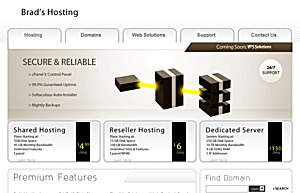 Brad’s Hosting – $6 256MB OpenVZ VPS Brad’s Hosting – $6 256MB OpenVZ VPS