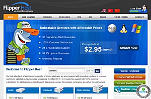 FlipperHost - $3.50 256MB OpenVZ VPS in Dallas FlipperHost - $3.50 256MB OpenVZ VPS in Dallas