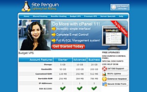 SitePenguin Exclusive Deal – $3.99 128MB VPS SitePenguin Exclusive Deal – $3.99 128MB VPS