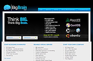 BigBrainHost - $6.99 384MB OpenVZ VPS
